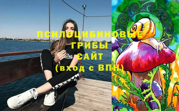 скорость Осинники