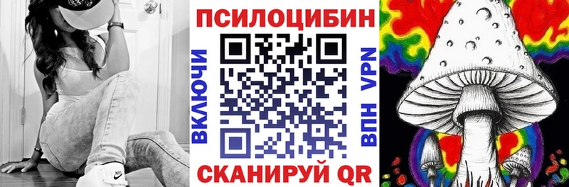 Галлюциногенные грибы Psilocybe Мураши